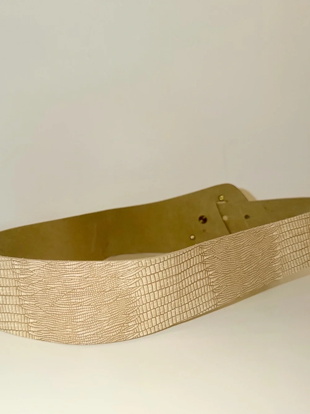 Vintage Shiny Beige Tan Embossed Snakeskin Wide Belt With Gold-Tone Detail